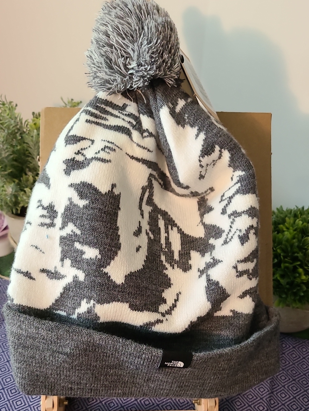 The North Face Adult Ski Tuke Beanie